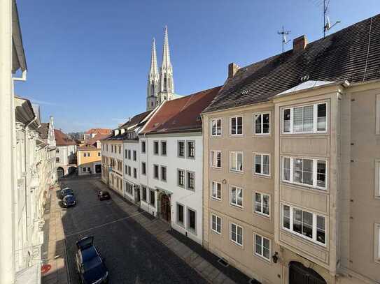 Großzügig in der Altstadt wohnen! Geräumige 3-Raumwohnung mit Wintergarten & Gemeinschaftsterrasse!