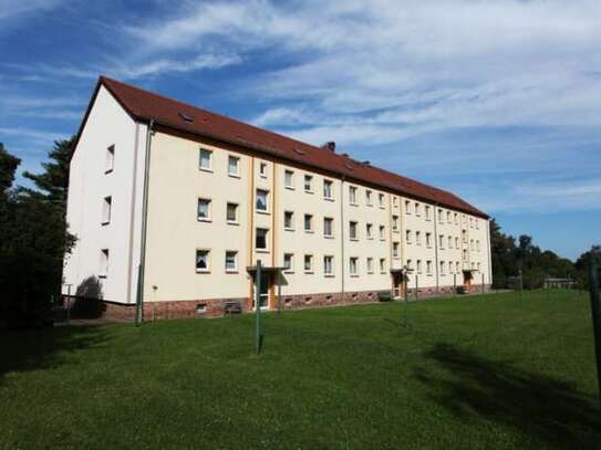 Familienwohnung in Borna, OT Neukirchen