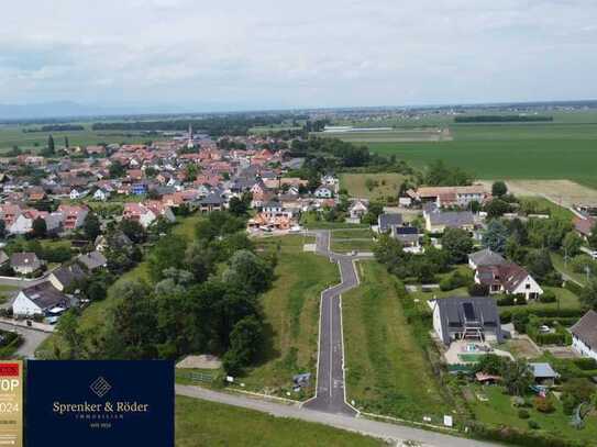 Mehrere Baugrundstücke in Widensolen in Grenznähe zu Breisach