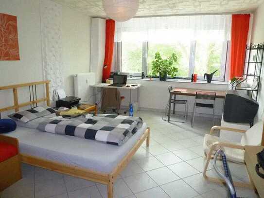 **Ab sofort! 1 Zi-Apartment mit Pantryküche, MA-Neuostheim, Nähe DHBW**