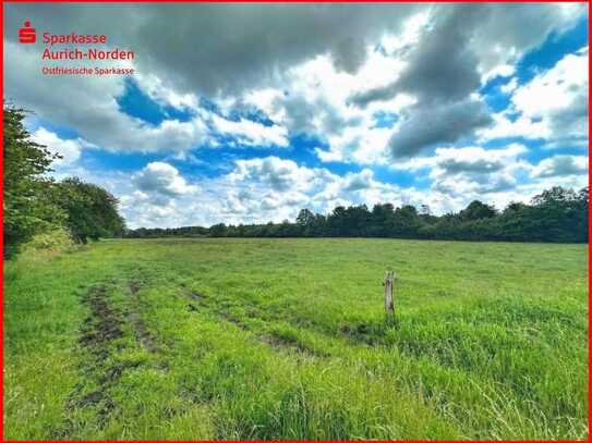 Landwirte aufgepasst - Grünland in Rechtsupweg