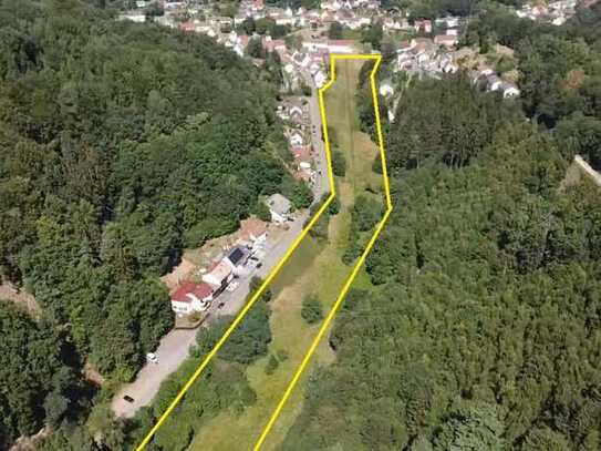 +++ Für Naturliebhaber und Bauherren: 23432 m² fast ebenes und sonniges Grundstück mit Bachlauf +++