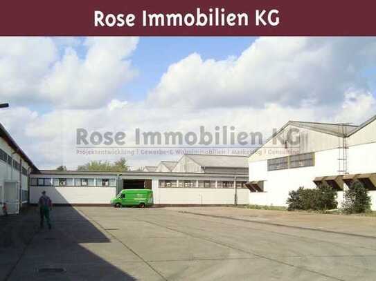 ROSE IMMOBILIEN KG: Lagerhalle zu verkaufen!