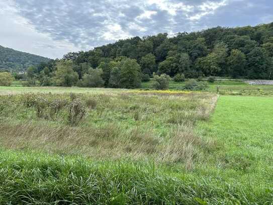 Landwirtschaftsfläche bei Hammelburg - Morlesau