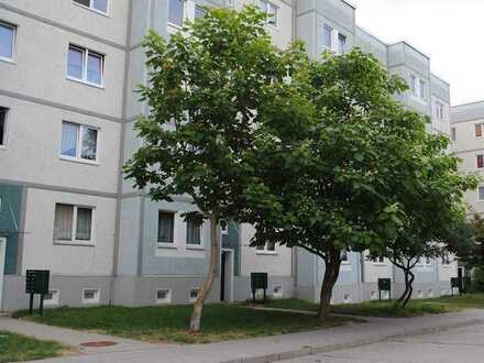 Wohnung 1-ZimmerWhg 4. E. rechts/STW