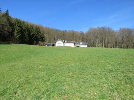 Landsitz in absoluter ALLEINLAGE mit Fernsicht im Landkreis Deggendorf