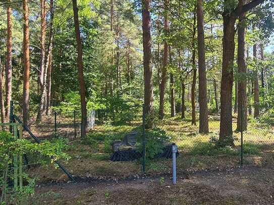 Stadtvilla mit bis zu 7 Zimmern auf gewachsenem Grundstück in Fichtenwalde