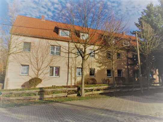 2-Raumwohnung im Erdgeschoss mit bodengleicher Dusche