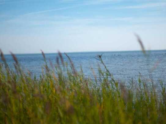 Traumhaftes Ferienhausgrundstück an der Ostsee in Klausdorf (Nähe Stralsund)