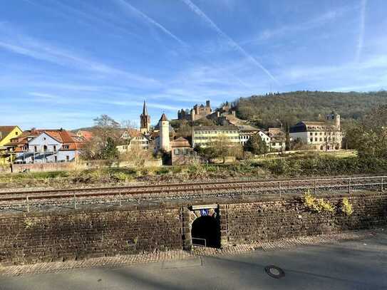 SANIERT & MODERN INKL. ALTSTADTFLAIR & BURGBLICK