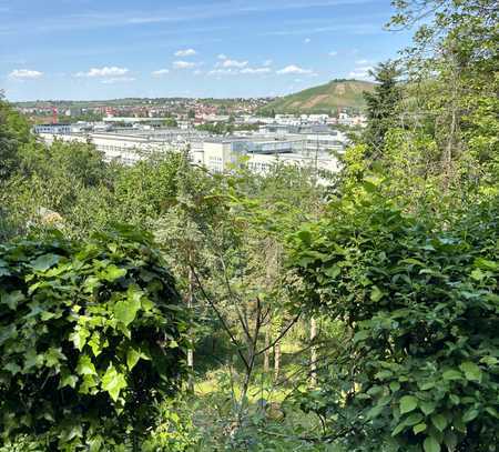 Garten in Stuttgart - Hedelfingen