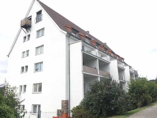 Schöne Wohnung mit Terrasse & Garten sucht netten Bewohner