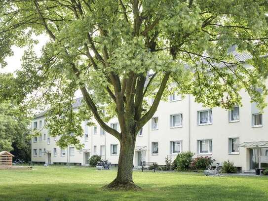 Moderne 3-Zimmer-Erdgeschosswohnung mit Balkon in zentraler Lage von Mönchengladbach