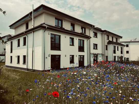 Neuwertiges Penthouse - Bornheim Roisdorf