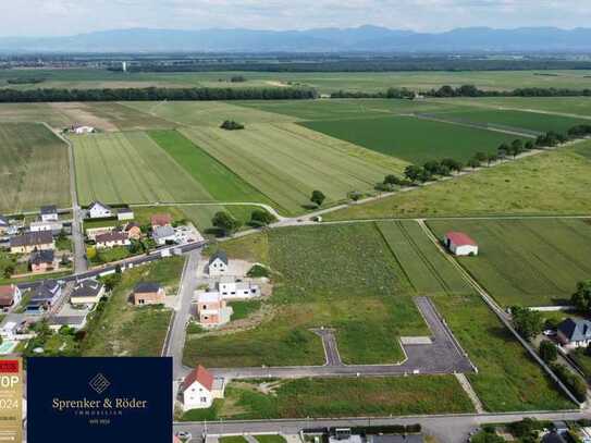 Mehrere Baugrundstücke in Dessenheim zwischen Breisach und Colmar