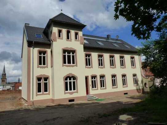 WUNDERSCHÖNE WOHNUNG IM HERZEN VON ZWEIBRÜCKEN