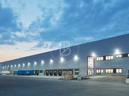 "BAUMÜLLER AG" - ca. 30.000 m² NEUBAU Hallenfläche - Rampe + ebenerdig!