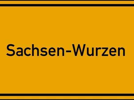 Schönes Baugrundstück in Voigtshain Sachsen - Wurzen