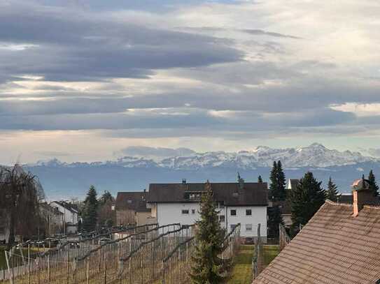 Neuwertige, moderne 3,5-Zi. Penthouse-Wohnung in einer ruhigen Lage in Ailingen, Weiherstraße!!