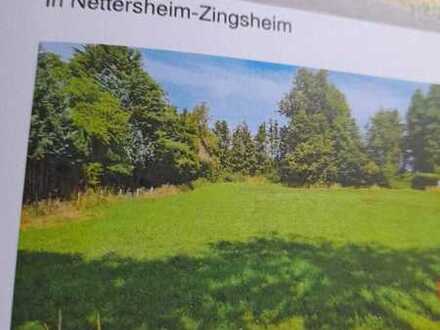 Großen Wünderschönes Baugrundstck inNettersheim, OT Zingsheim in der Eifel