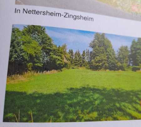 Großen Wünderschönes Baugrundstck inNettersheim, OT Zingsheim in der Eifel