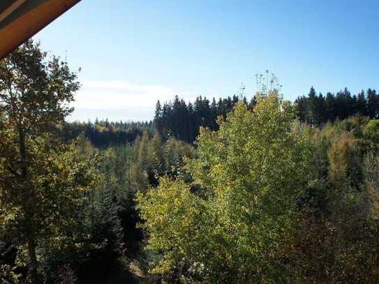 ... große 3-Zimmer- im DG mit ca. 15m² Südbalkon in attraktiver Lage am Waldrand bei Mettenheim ...