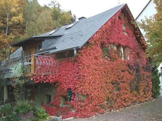 Im Grünen wohnen - mit Dachterrasse, Einbauküche, Kamin und begehbarer Spitzboden