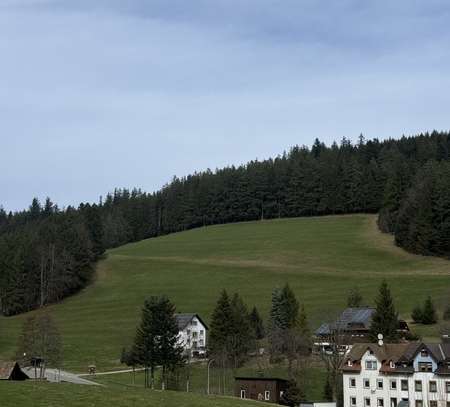 Ansprechende und sanierte 3-Zimmer-Wohnung in Triberg im Schwarzwald