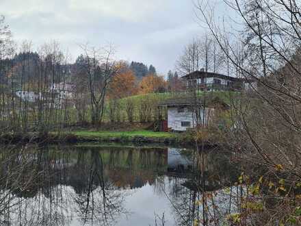 IDYLLE PUR - Fischerhütte mit Karpfenteich im schönen Odenwald im Eutergrund