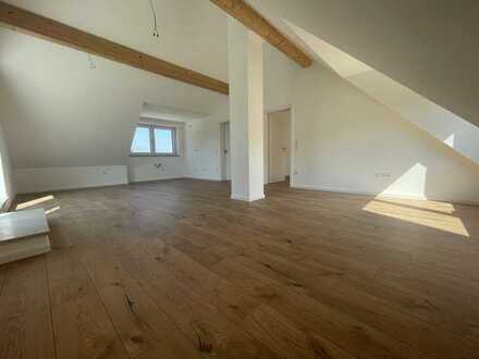 Neubau 2-Zimmer-Wohnung mit großer Dachterasse