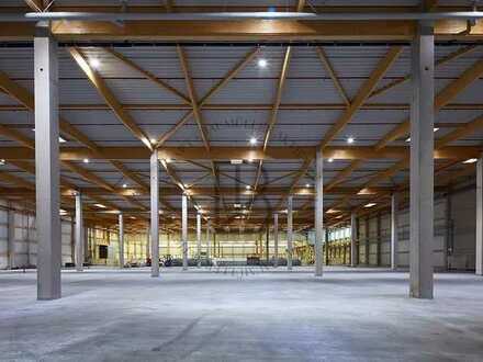 "BAUMÜLLER AG" - 10.000 m² Logistikhalle - NEUBAU - 11,40 m UKB - Büro verfügbar