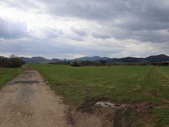 Landwirtschaftliche Flächen