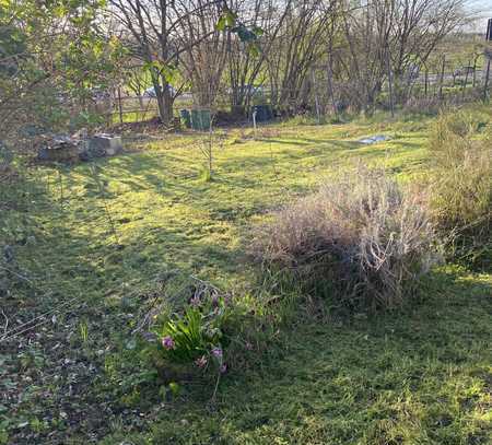 Großes Endgrundstück mit unbebaute Sicht auf die Rheinebene zu verkaufen