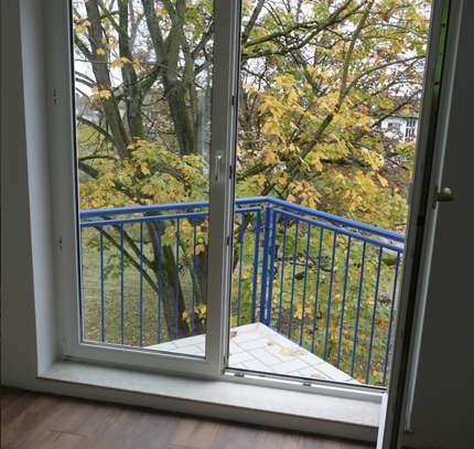 1 Zimmer Apartment in Viernheim 33,5 m2 ab 01.12. zu vermieten