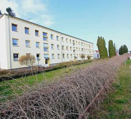 Vollständig renovierte 1-Raum-Wohnung im bester Lage in Brandshagen