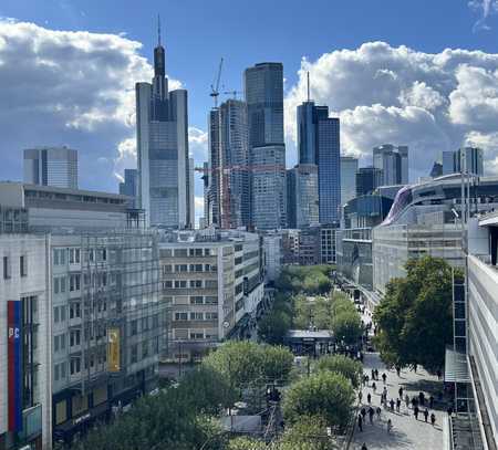 Stilvolle 1-Zimmer-Wohnung mit luxuriöser Innenausstattung in Frankfurt am Main