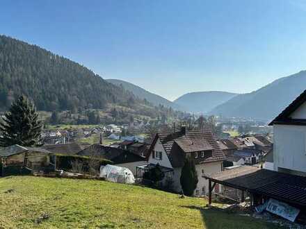 *Spektakulärer Ausblick*Zweifamilienhaus + Einliegerwohnung + Baugrundstück