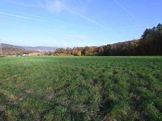 Bei Hannoversch Münden: ca. 3,8 ha landwirtschaftliche Fläche