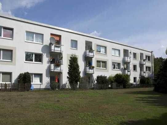 Gemütliche 3-Zimmer-Wohnung mit Balkon in Neuwiedenthal