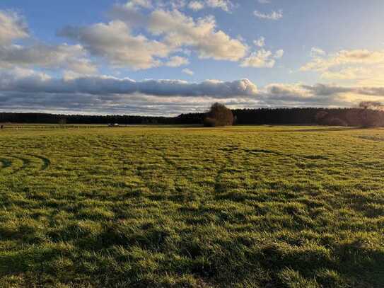 Baugrundstück in ruhiger Lage der Stadt Torgelow