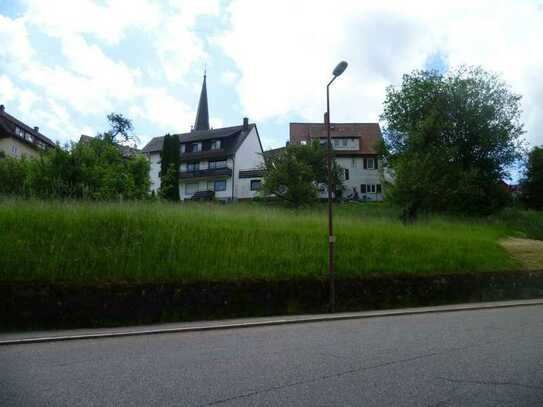 Sonniger Bauplatz in Baiersbronn