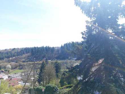 2 Baugrundstücke In Obrigheim-Mörtelstein, teilweise mit Neckarblick