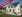 Das Wohlfühlhaus mit Panoramagaube - Randlage von Meissen und beste Blickverhältnisse