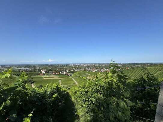 Wohnen am Käfersberg! ++große Terrasse mit Aussicht auf die Reben!++