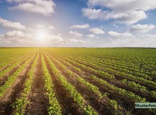 Landwirtschaftlich genutztes Grundstück - provisionsfrei