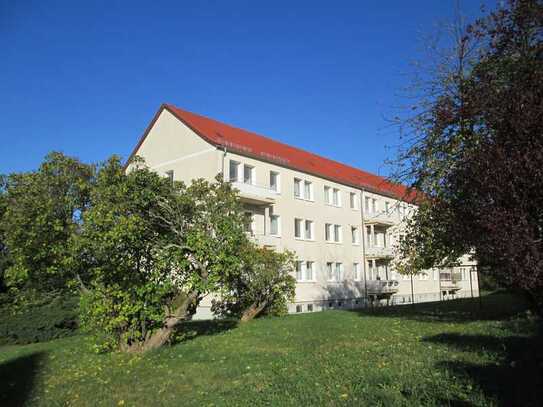 moderne 2-Zimmerwohnung im Hochparterre mit barrierefreier Dusche (SO16)