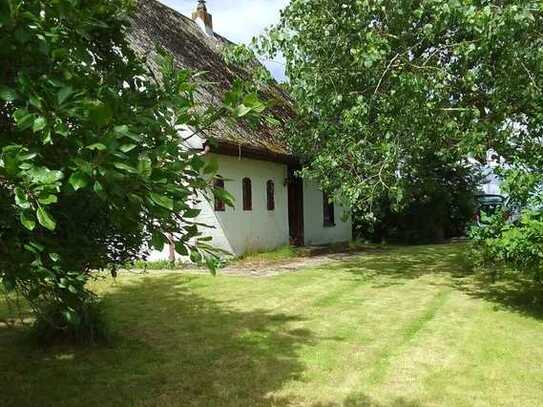 Wer weckt mich aus dem Dornröschenschlaf? Ferienhaus an der Nordseeküste in Alleinlage