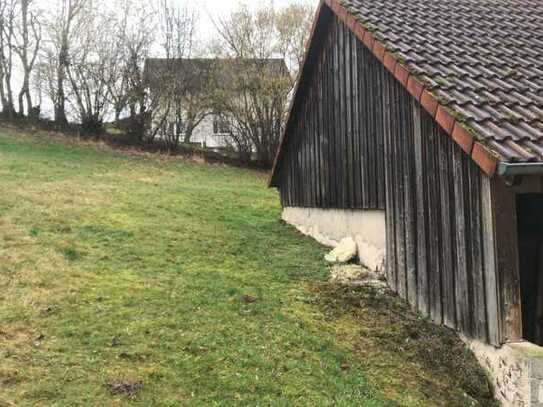 großes Baugrundstück mit Scheune und Freifläche