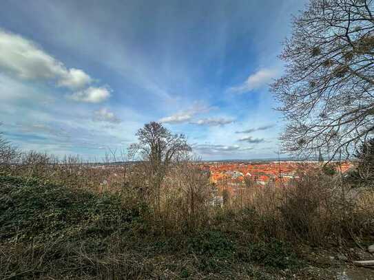 Baugrundstück in Traumlage auf dem Lindenberg