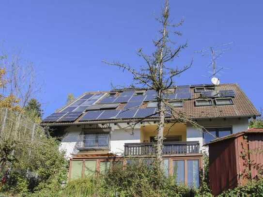 Vielfach nutzbar: Haus mit 3 WE inkl. 2 Wintergärten und Dachterrasse in naturnaher Lage